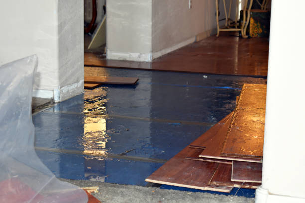Professional Basement Flood Cleanup technician working in New Site, MS