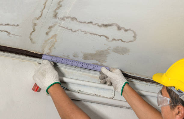 Reliable Basement Flood Cleanup contractor in New Site, MS by Aqua Guard Water Damage